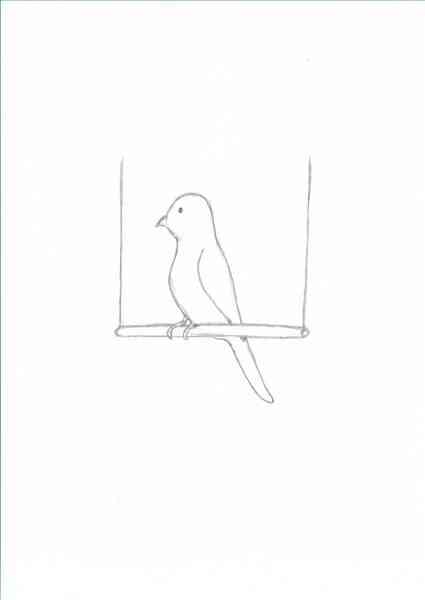 Comment Dessiner Une Cage à Oiseaux