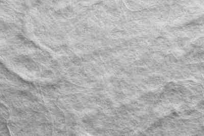 Comment Peindre sur du Papier de Riz