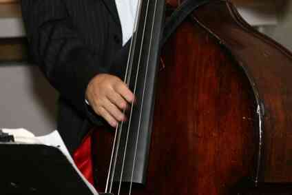 La différence Entre une Contrebasse, un Double Bass