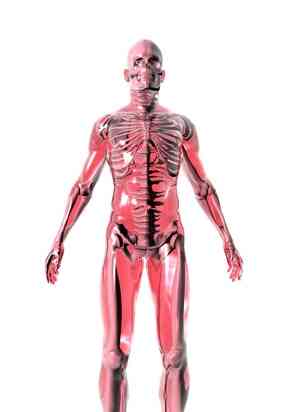 Comment Détendre le Muscle pubo-rectal