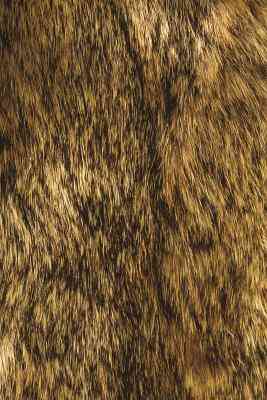 Comment Adoucir un poil de Lapin