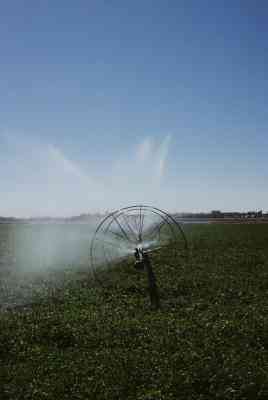 Petite Irrigation par Aspersion des Modèles pour des Projets Scolaires