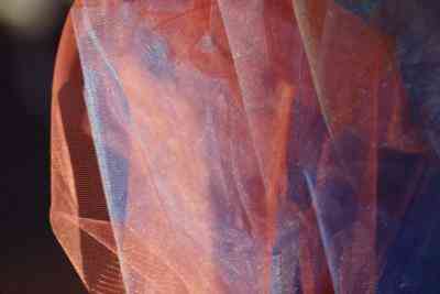 Organdi Vs. Organza