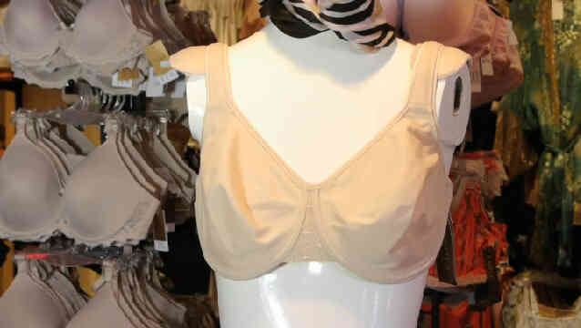 Quelles Sont Soutien-Gorge Minimizers?