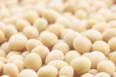 Comment Hydrater les pois Chiches