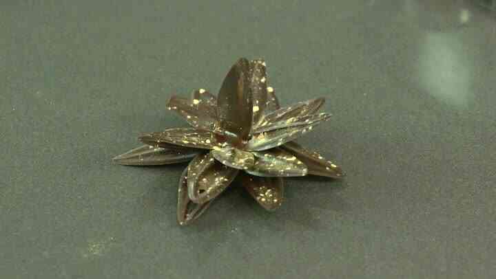 Comment Faire du Chocolat Fleurs