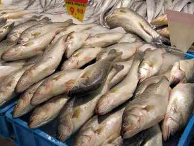 Comment Fumer le Poisson sur un Gril à Gaz