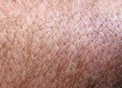 Comment se Débarrasser des Spores de la Teigne dans Votre jardin