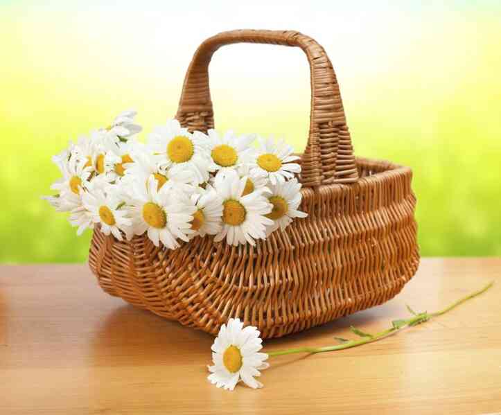 Quelles Sont Les Fleurs Qui Signifie Espoir?