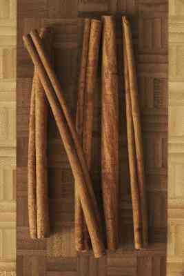 Quelle Est la Différence Entre Cassia Obovata et Cassia Auriculata?
