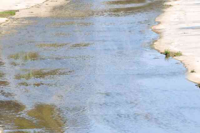 De survie: Comment Traiter et de Boire de l
