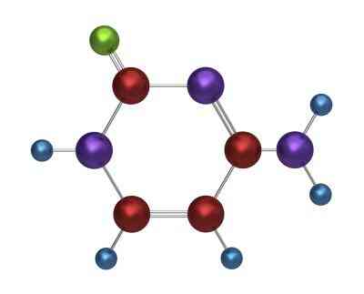 Covalente Vs. Des Liaisons Hydrogène