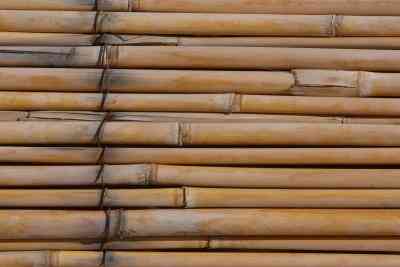 Comment Nettoyer la Moisissure sur le Bambou