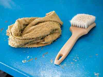 Comment faire pour Supprimer les Taches de Sang De Murs Peints