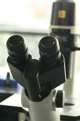 Comment Prendre des Photos Avec un Microscope