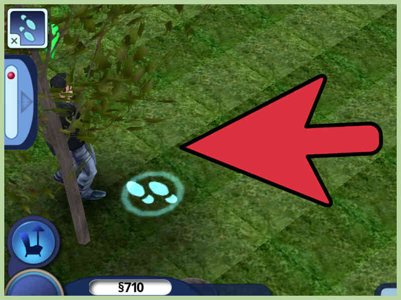 Comment se Marier sur les Sims 3: Animaux de compagnie 3DS