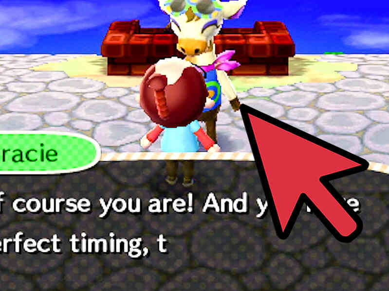 Comment Répondre à Gracie Questions sur Animal Crossing: Wild World