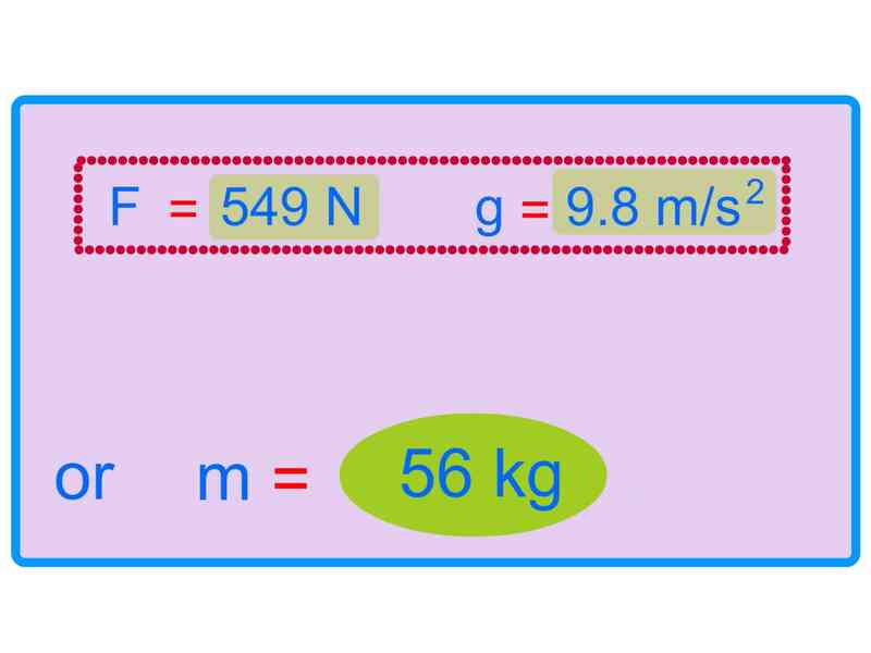 Comment Calculer le Poids de la Masse