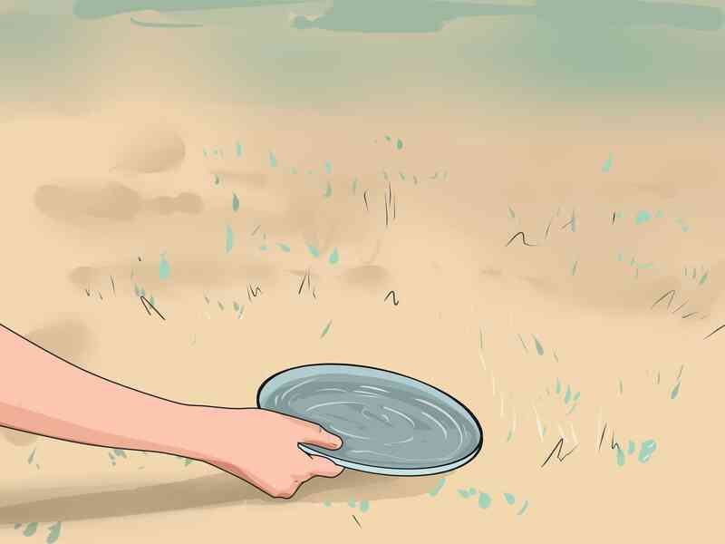Comment Attirer les Corbeaux